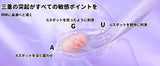Uスポットとは？【クリトリスとは違う快感】場所・刺激方法・注意点を解説