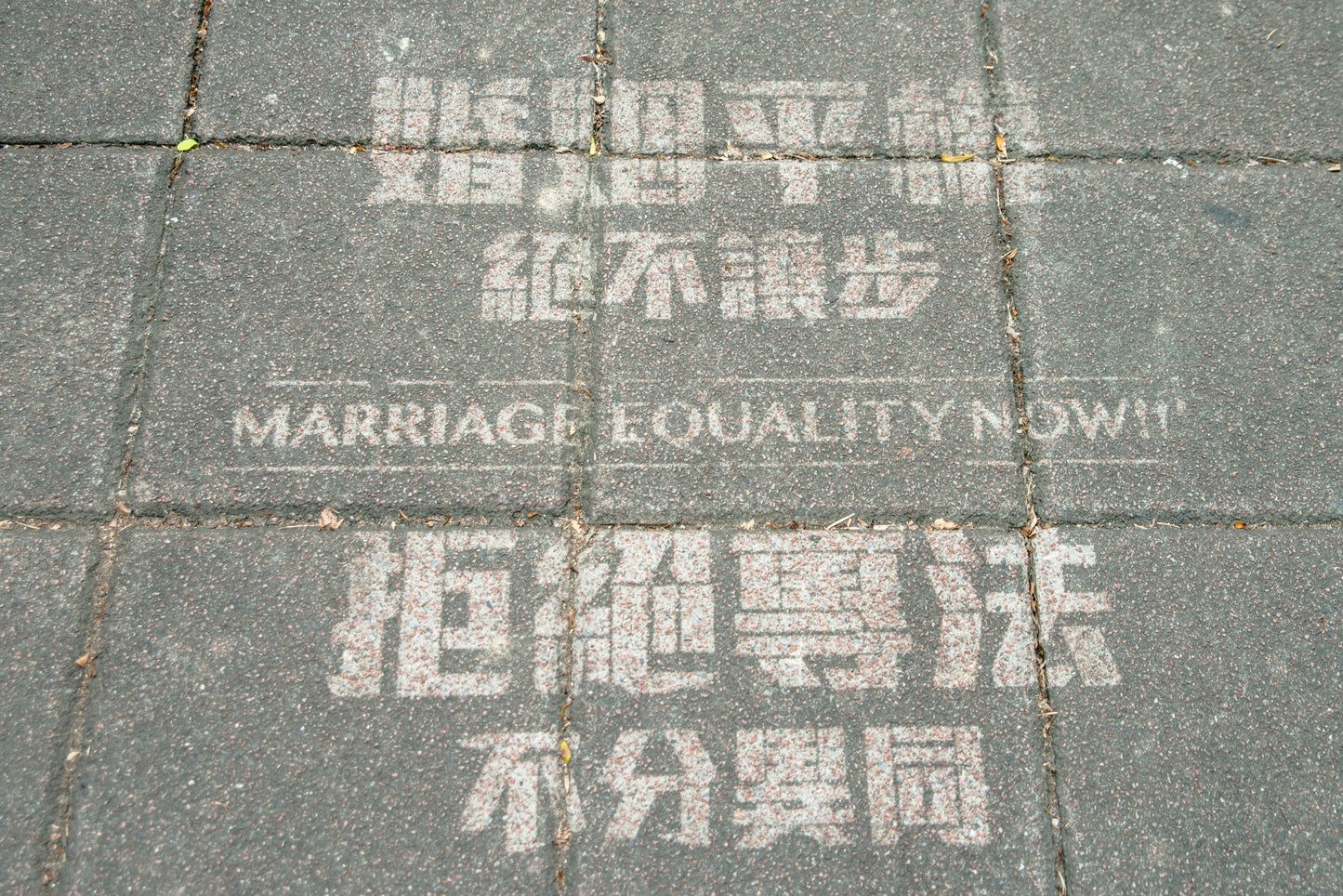 台湾、同性婚合法化：アジアの平等における画期的な一歩 - SVAKOM Japan